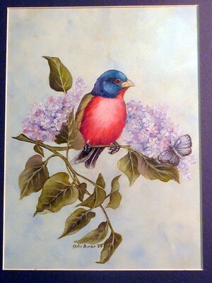 Spring Song Bird Painting, original oil painting 11x14 - image2